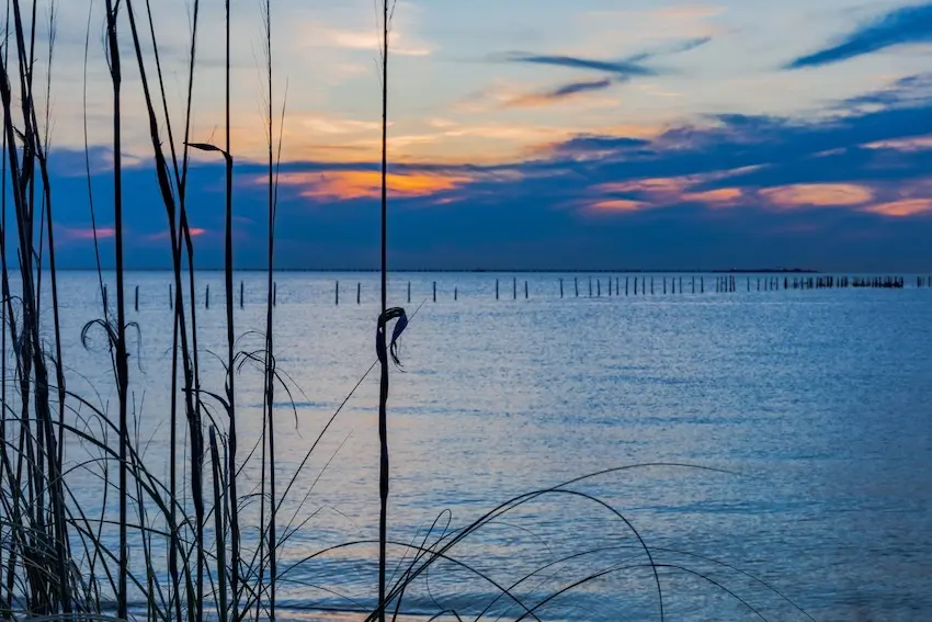 “Happy Chesapeake VA family smiling after quality dental care at The Foleck Center”